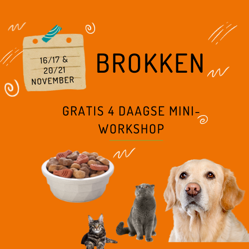 Brokken-etiketten lezen en meer in deze 4-daagse mini-workshop