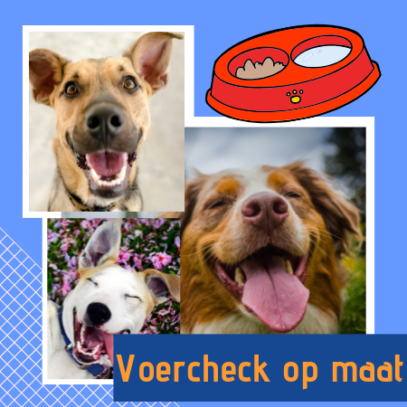 DigiDog Voercheck op maat: laat je hondenvoer checken op geschiktheid voor jouw hond