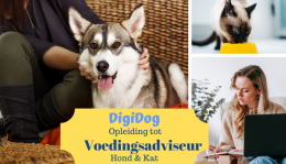 DigiDog online Opleiding tot professioneel voedingsadviseur voor honden en katten