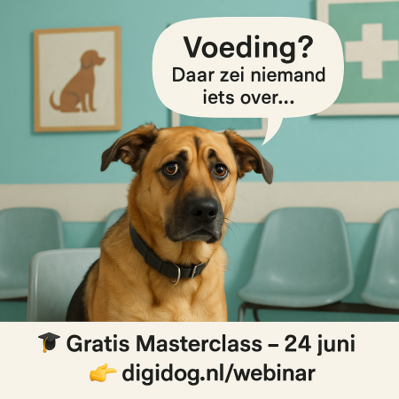 Masterclass 24 juni