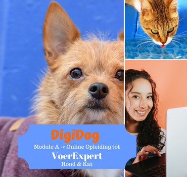 Wordt nu Voedingsadviseur of Voerexpert voor hond / kat met deze online opleiding van DigiDog