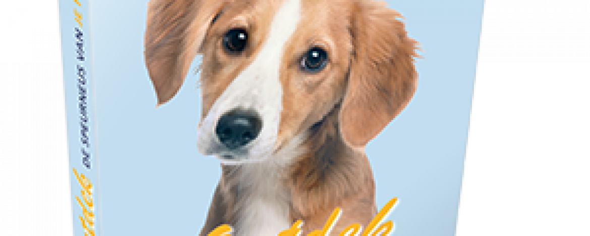 Speuren met je hond: nu gratis E-book!
