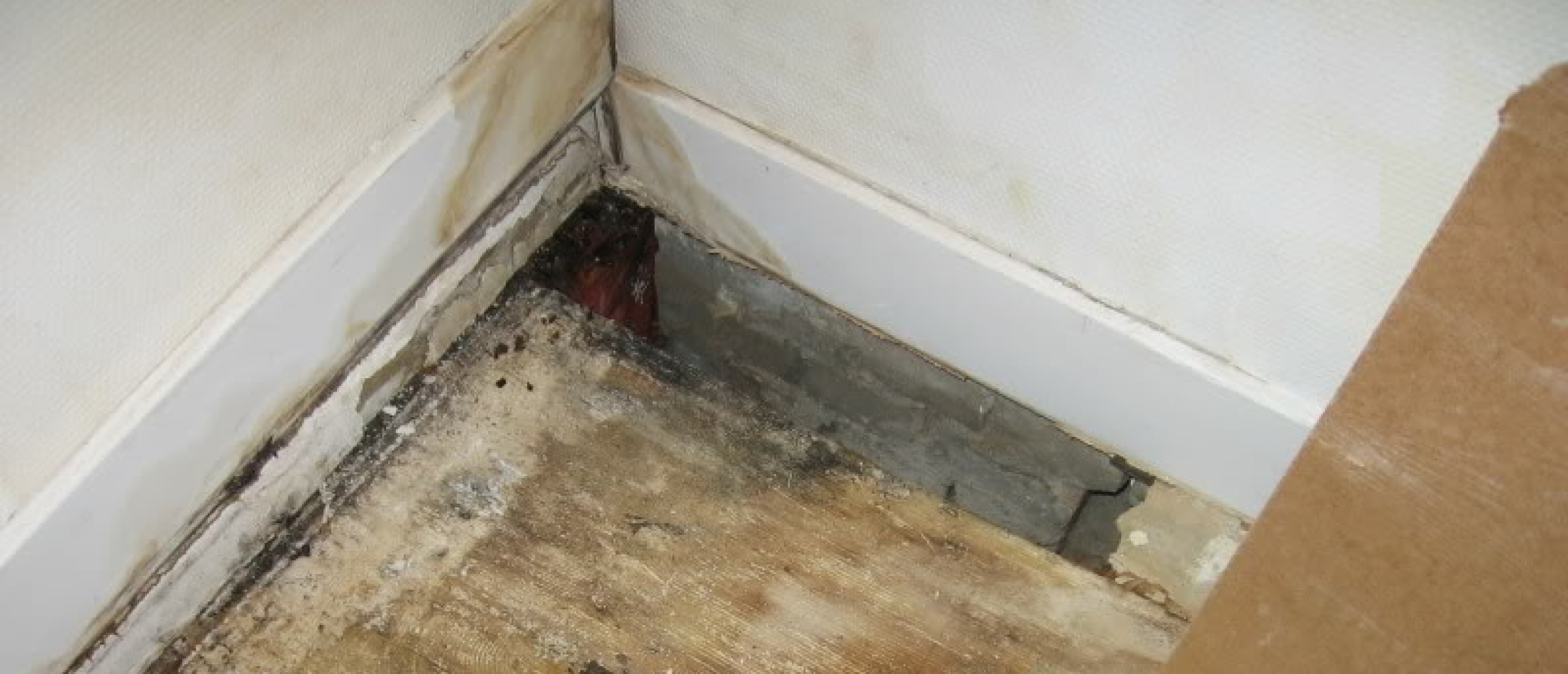 Vochtproblemen in huis? Dit moet je weten voor een gezond en comfortabel thuis