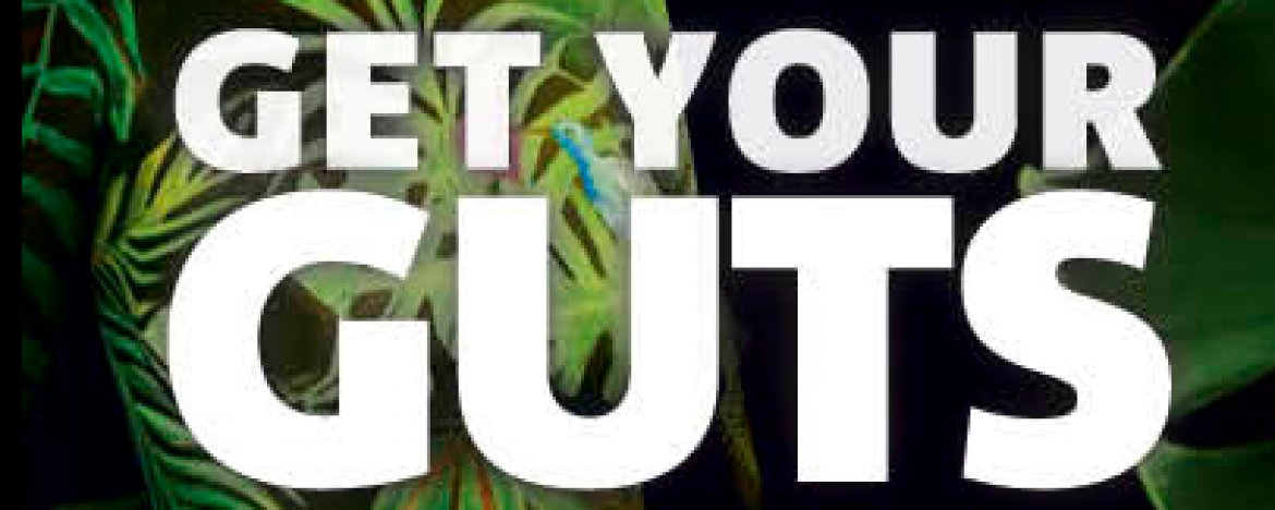 Gut your guts