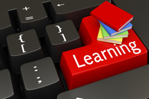 online course DISC