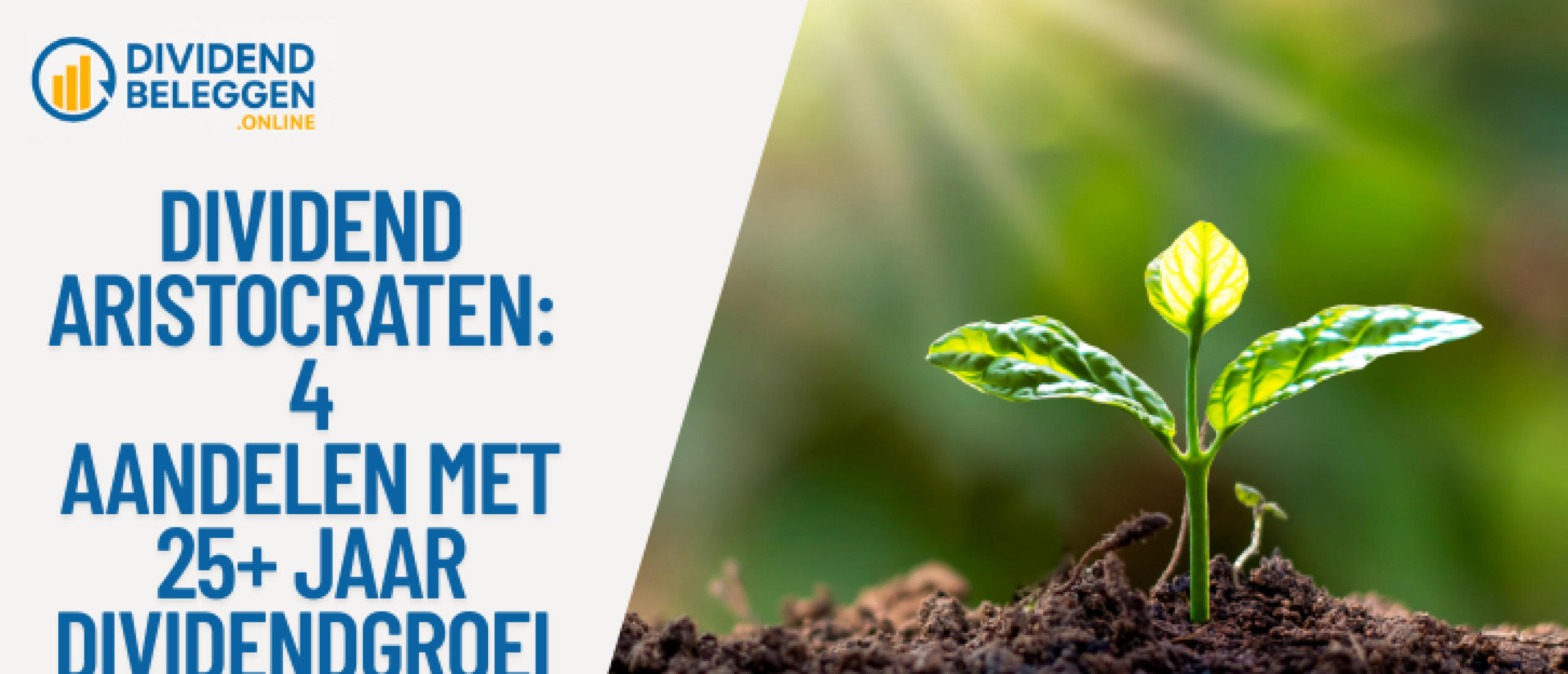 dividend-aristocraten-aandelen-kopen-lange-termijn