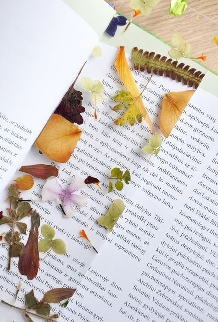 Bookmark with dried flowers in plastic