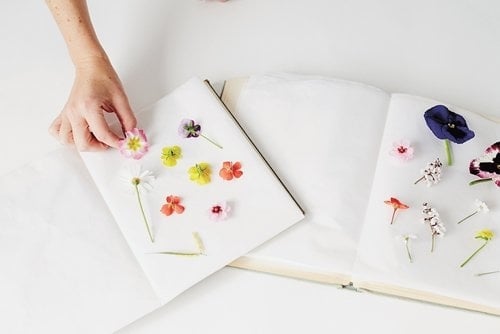 DIY Drying flowers using a book