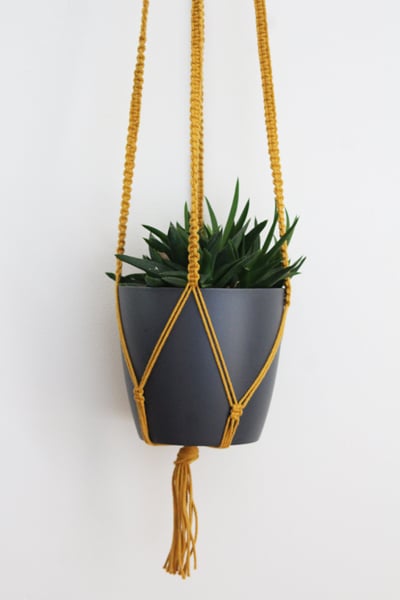 DIY macrame plant hanger end result