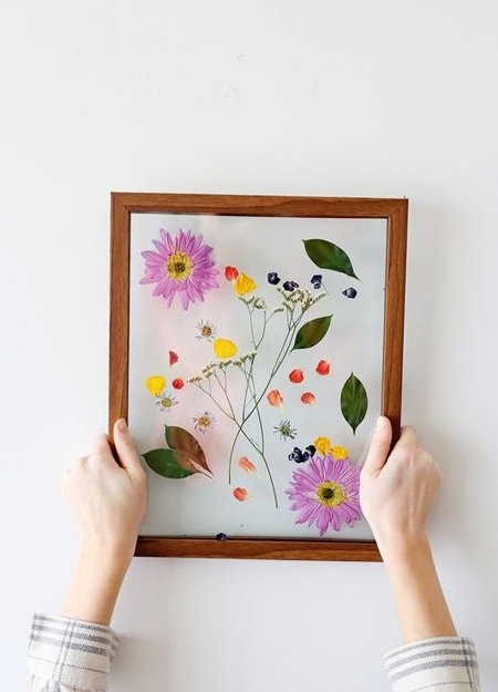 framing of the pressed, dried flowers