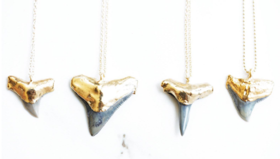 Gold Necklage from RiseHawaii with sharktooth
