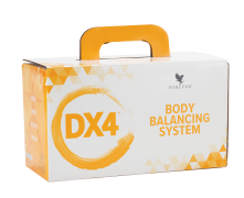 dx4 body balancing system