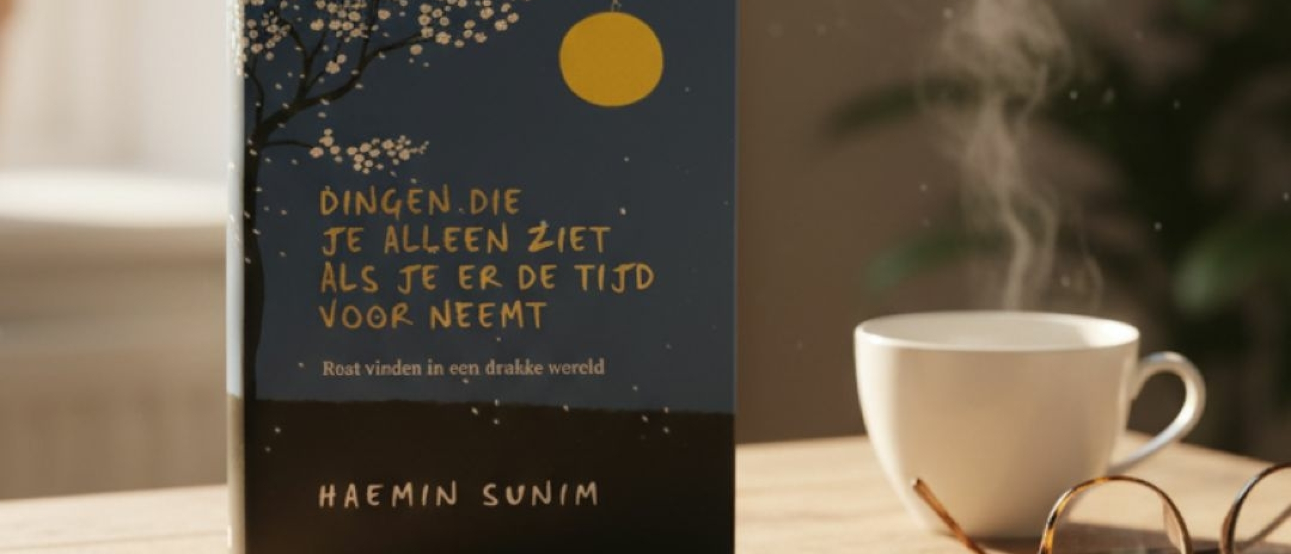 Dingen die je alleen ziet als je er de tijd voor neemt - Haemin Sunim