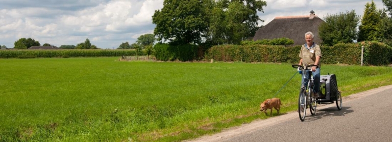 fietskar hond elektrische fiets