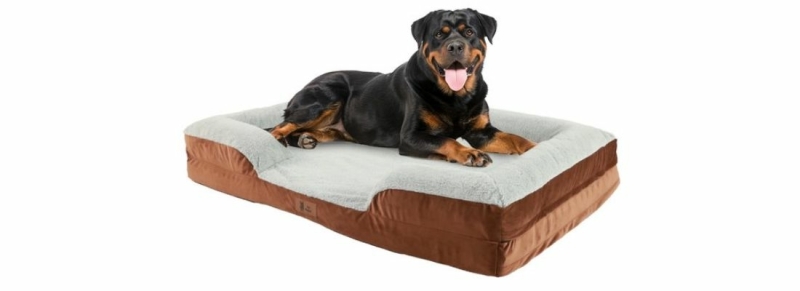 petperfect beste hondenmand