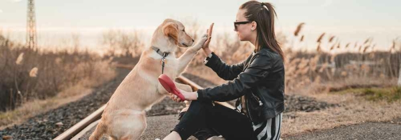 Highfive tussen hond en vrouw