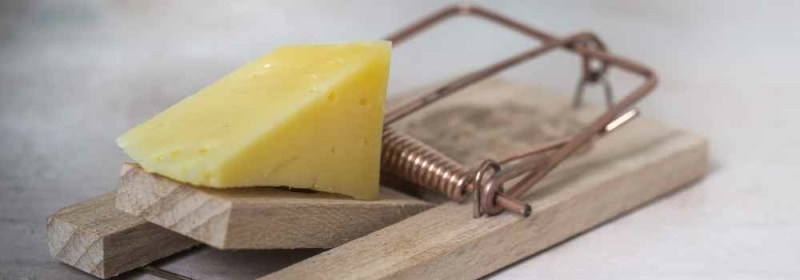 Traditionele muizenval met kaas