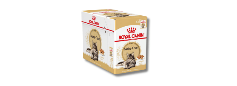 Royal canin maine coon natvoer