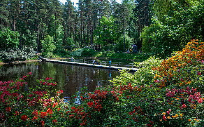 De afbeelding toont de Experimentele en Kwekerij van Rododendrons 
