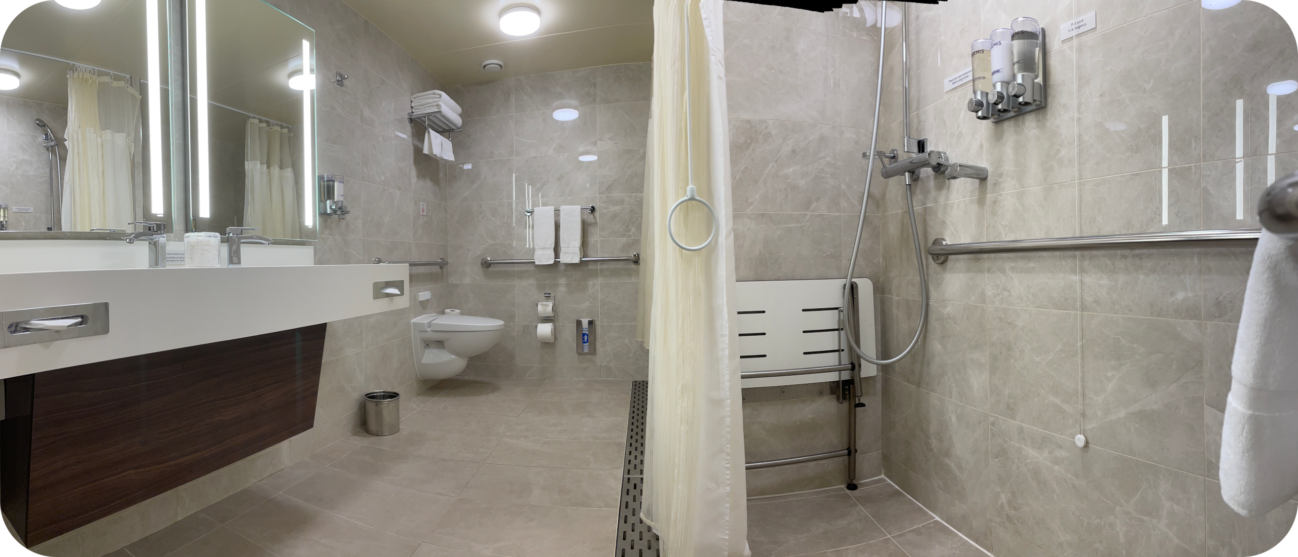 Toegankelijke Cruise Suite & Badkamer