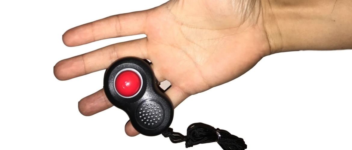 The pros and cons of training with the clicker