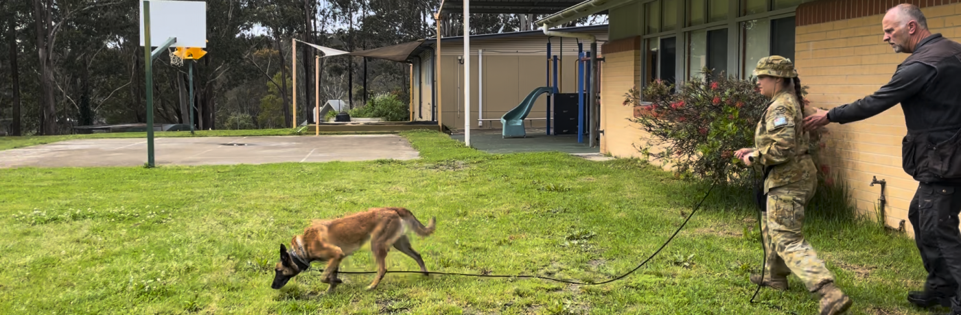 Trust Your Dog While Tracking | Dog Training Dick Staal