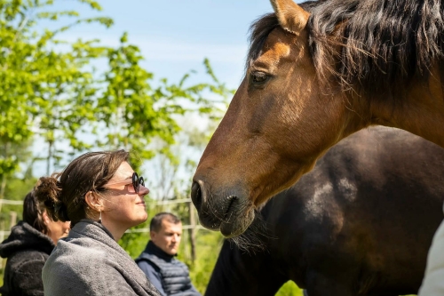 Telepatische dierencommunicatie
