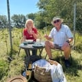 Picknick lunch op de Wijngaard