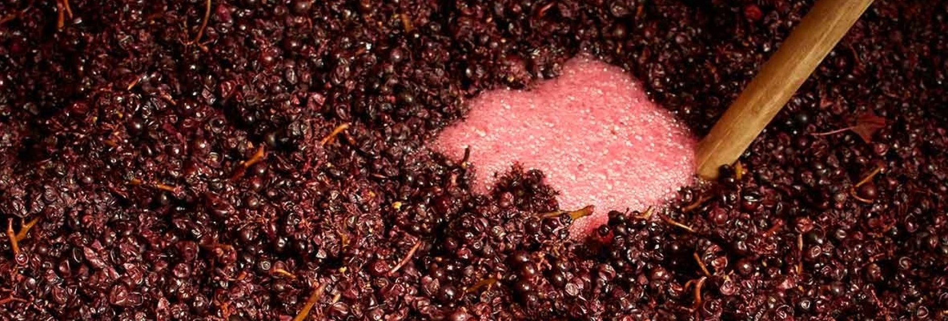 vinificatie van rode wijn