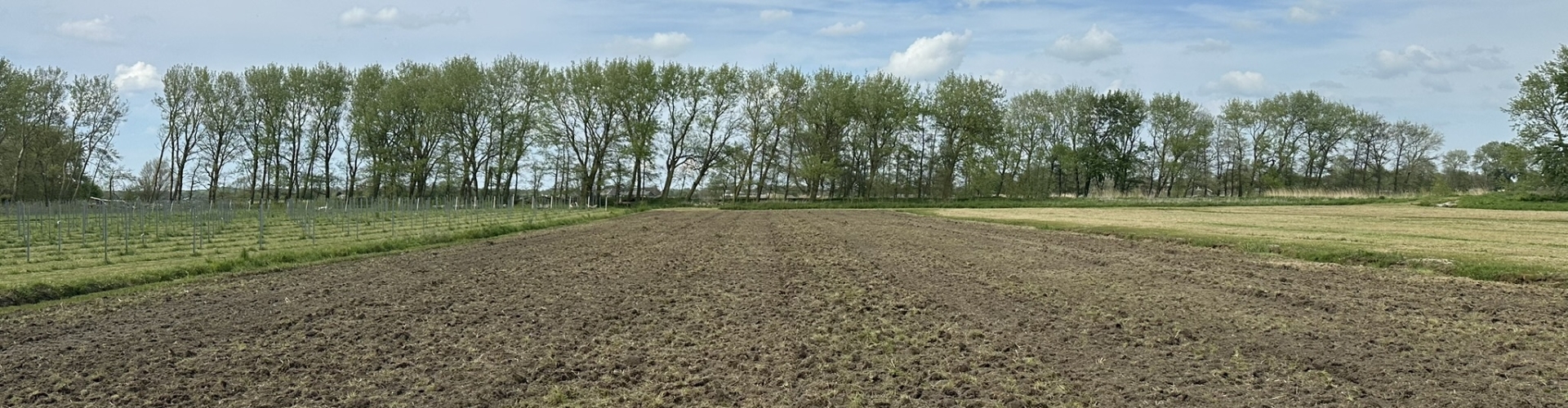 De grond is gefreesd en wordt nu ge-ecoploegd