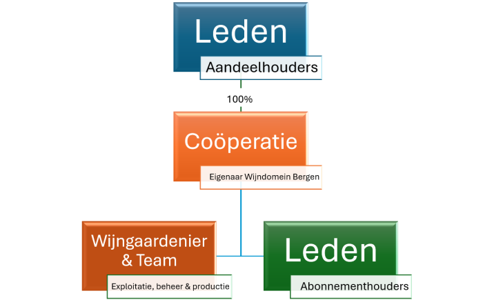 Organogram Domein Bergen