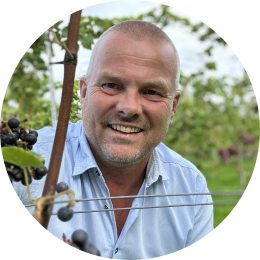 Wijngaardenier in de wijngaard