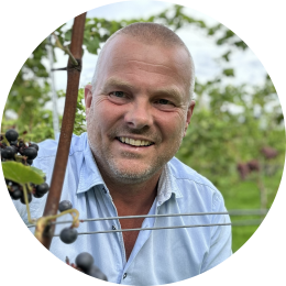 Wijngaardenier in de wijngaard