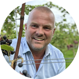 Wijngaardenier in de wijngaard