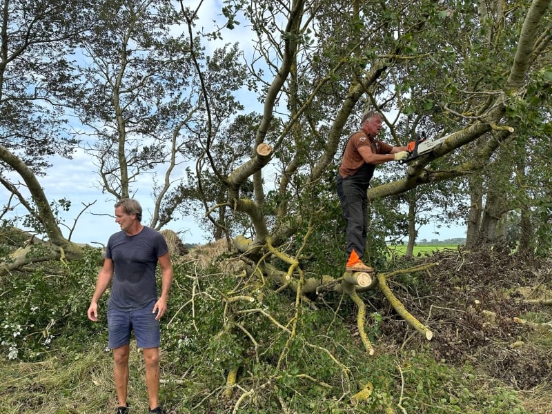 werken in de wijngaard