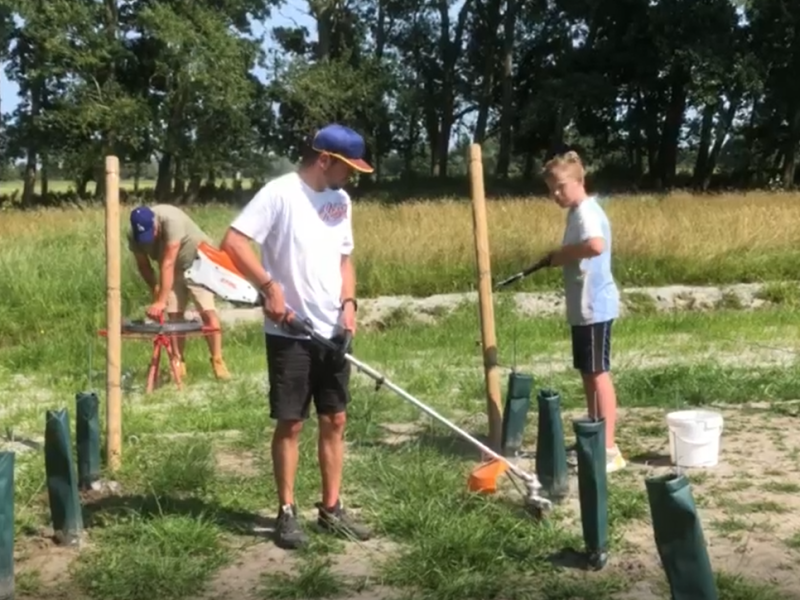 werken in de wijngaard