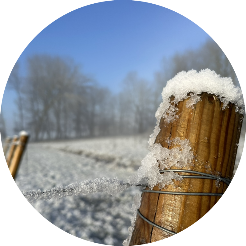 Detail van een houten paal en draad in de wijngaard, bedekt met rijp tijdens een koude winterochtend