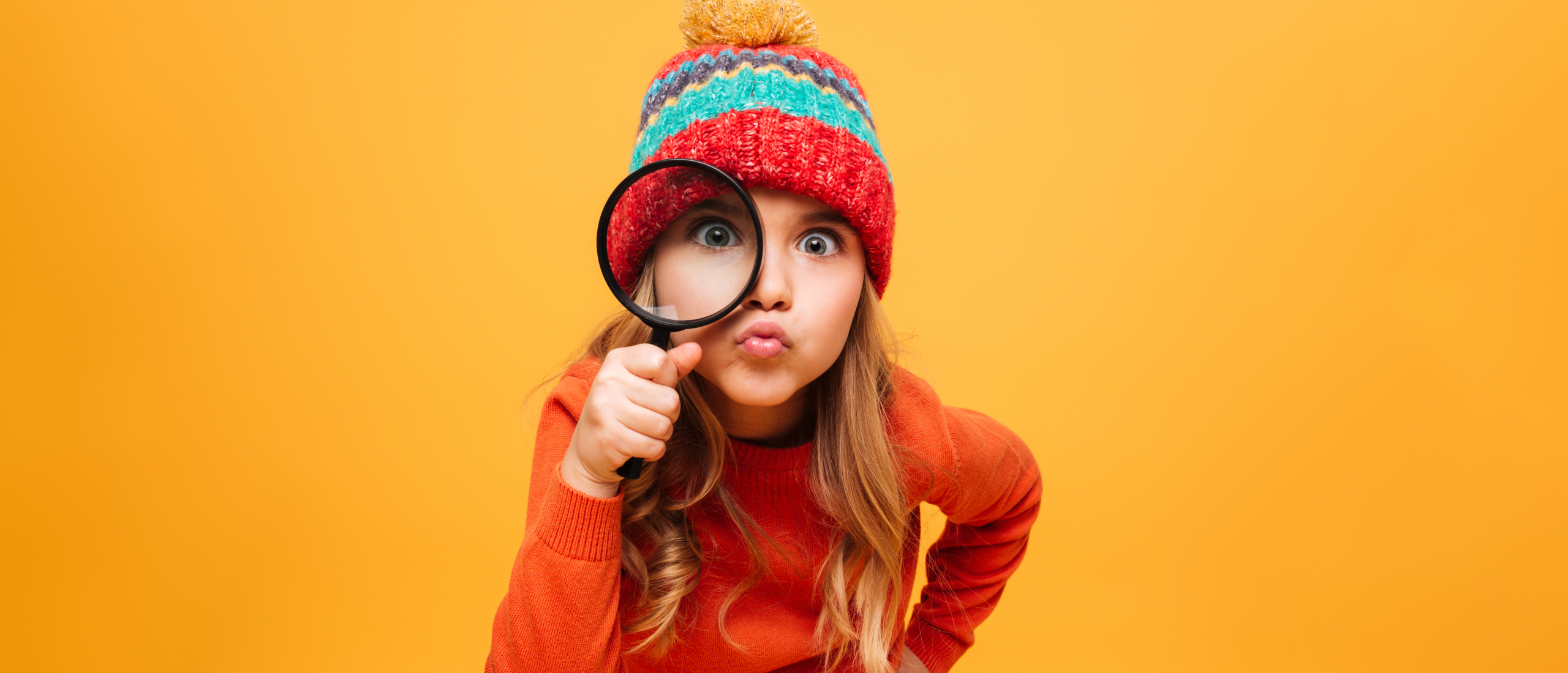 Wie, wat, waar (artikel)