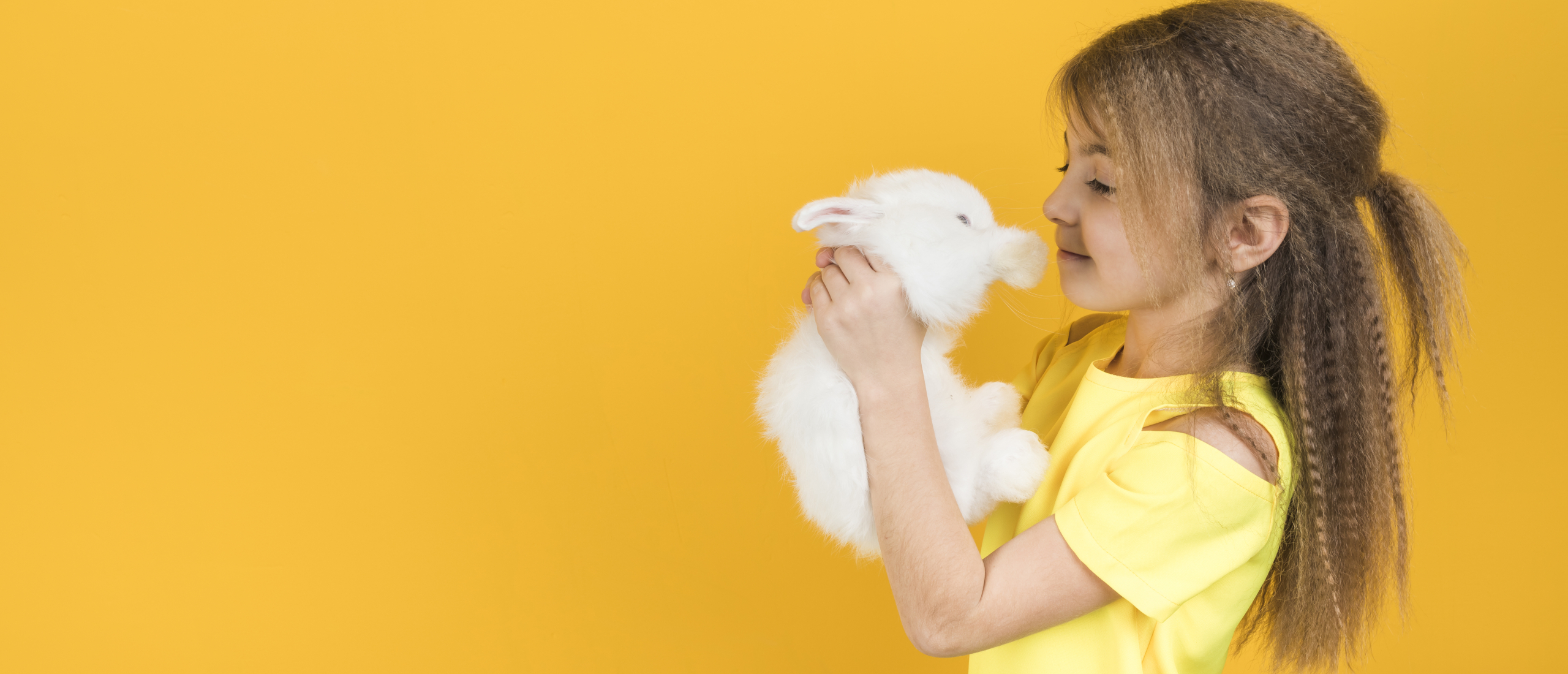 dramalessen over dieren