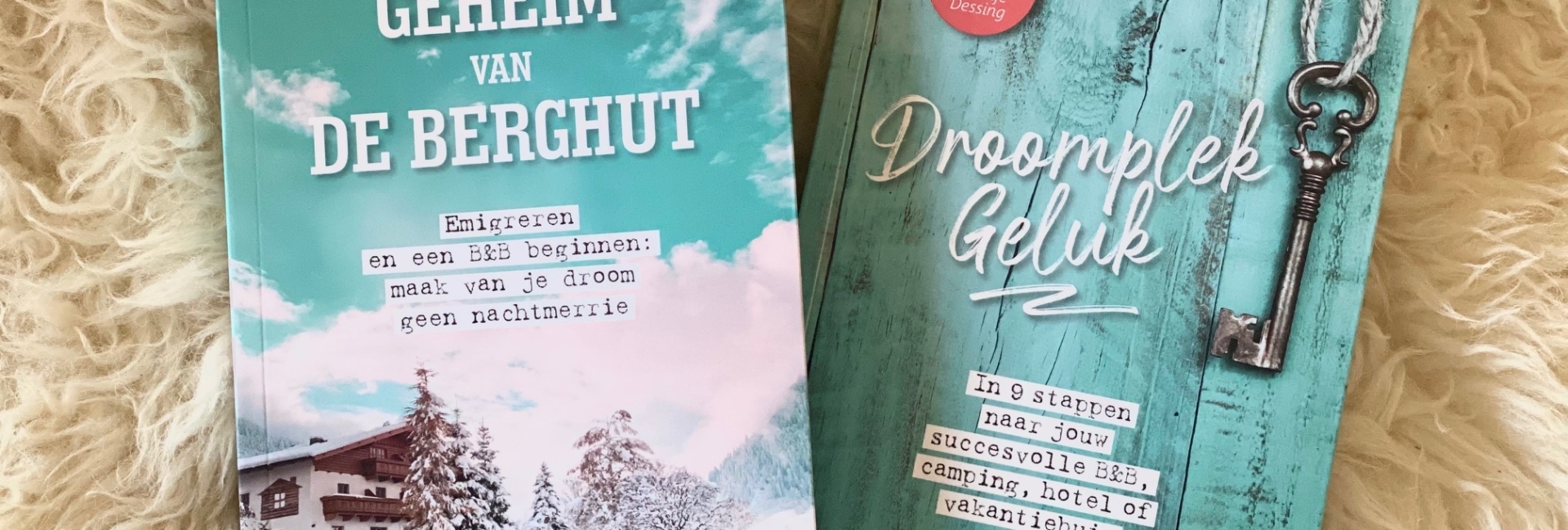 boeken-bestseller-bed-and-breakfast-bnb-beginnen-emigreren-droomplekgeluk-het-geheim-van-de-berghut