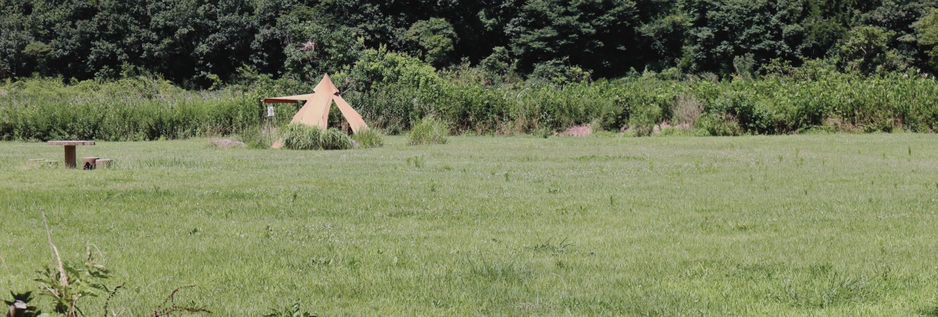 meer-gasten-bed-and-breakfast-nelleke-griffioen-tips-droomplekacademie-camping-hotel-retreatlocatie-marketing-tips-vakantiewoningen