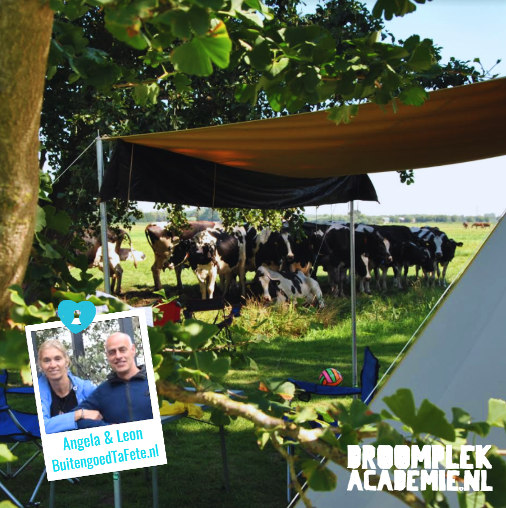 nederland-buitengoed-ta-fete-vergaderlocatie-angela-leon-camping-droomplekacademie-ervaringen-tips-