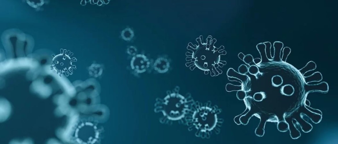 Meest gestelde vragen over het Coronavirus in relatie tot jouw B&B, hotel, camping of vakantiewoningen
