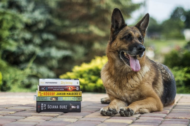 duitse-herder-boeken