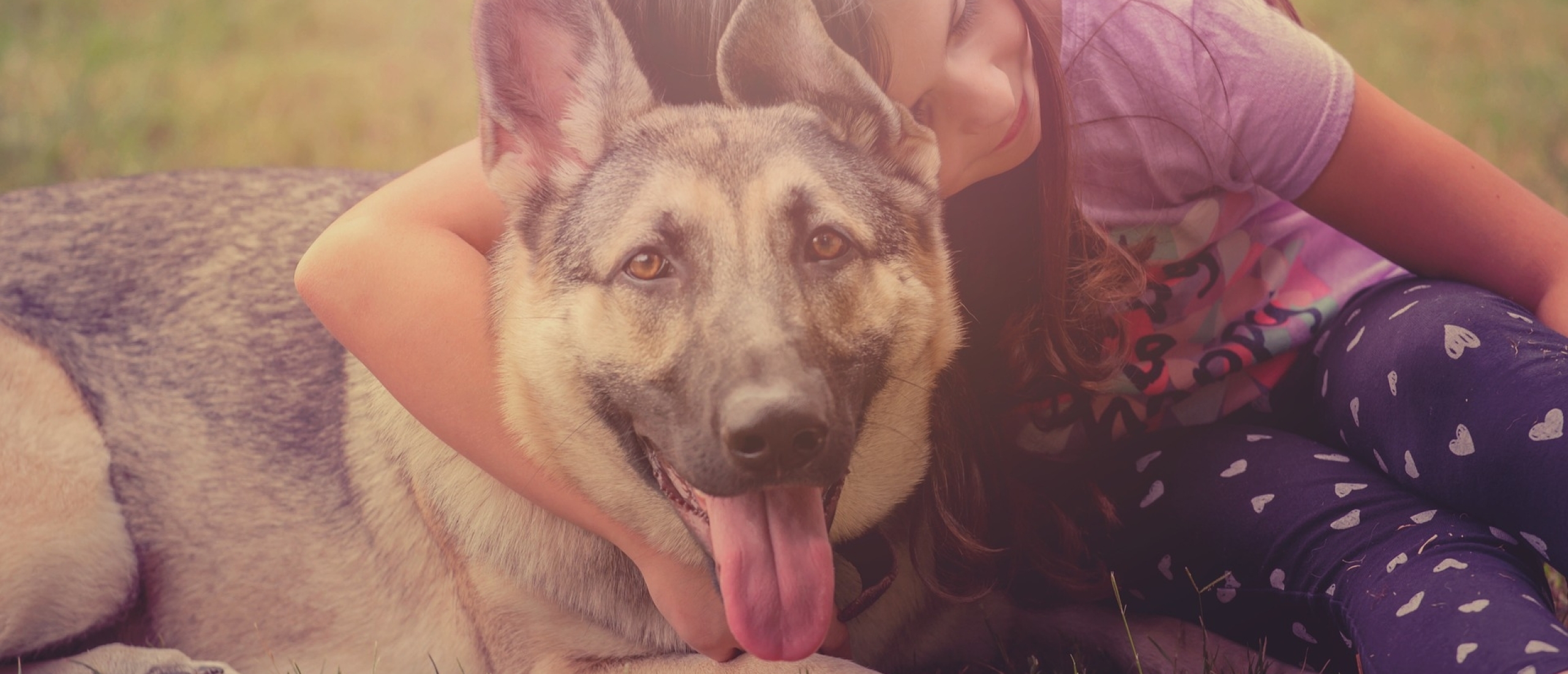 Zijn honden geschikt als therapiedieren voor kinderen?