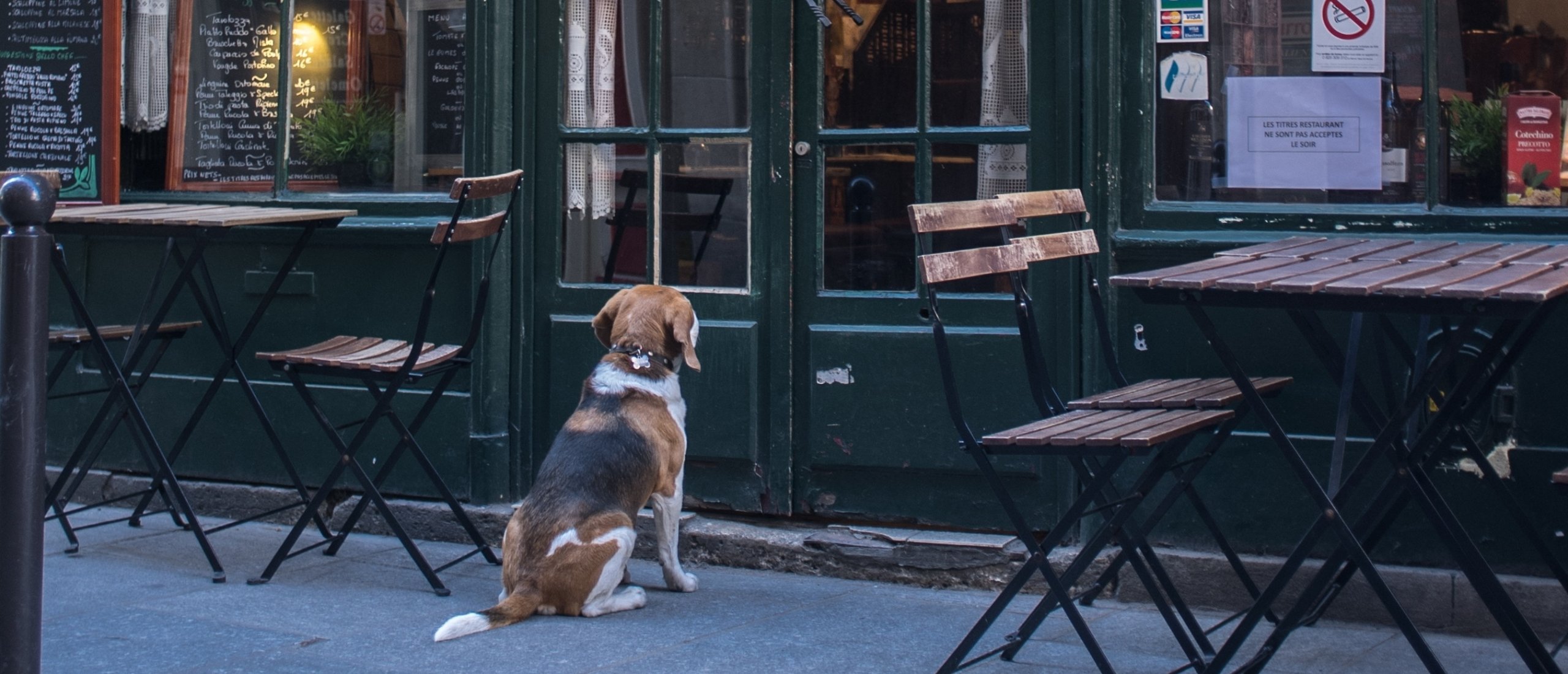 hond-meenemen-naar-restaurant