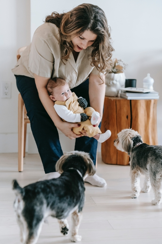 honden-laten-wennen-aan-een-baby