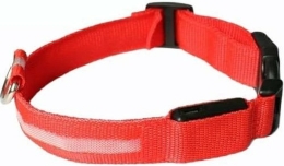 hondenhalsband-puppy-riem