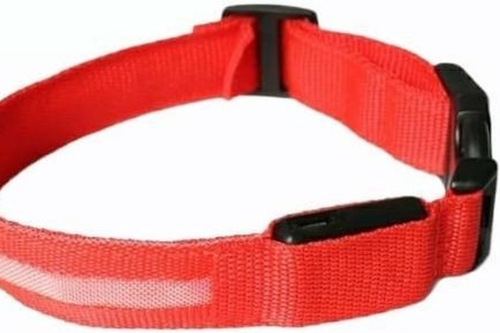 hondenhalsband-puppy-riem