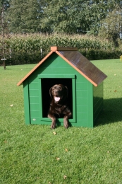 hondenhok-kopen-dog-house